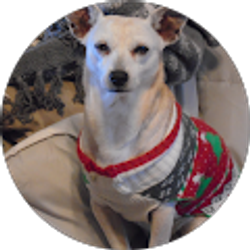 Profile photo of Joan Fusso