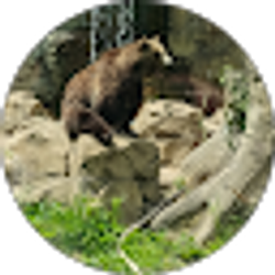 Profile photo of P S