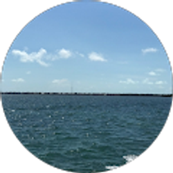 Profile photo of Robert Mccarley