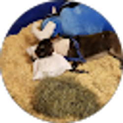 Profile photo of Brandy
