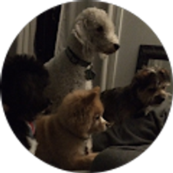 Profile photo of Jennifer Tallarigo