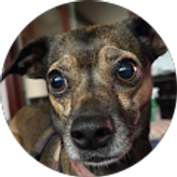 Profile photo of Nancy Wong