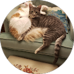 Profile photo of Debby Rolland