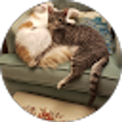 Profile photo of Debby Rolland