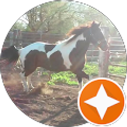 Profile photo of Sandra Palacios