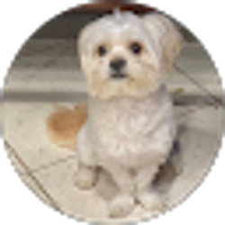 Profile photo of Erick M