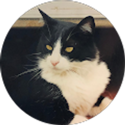 Profile photo of Bev Dittberner