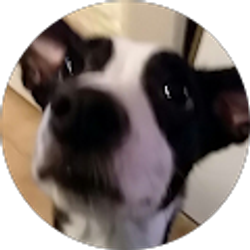 Profile photo of K K