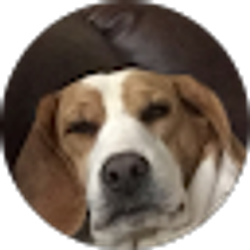 Profile photo of Diane Bannon