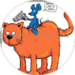 Profile photo of Brian Carruth