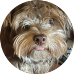 Profile photo of Kaiser Alabama