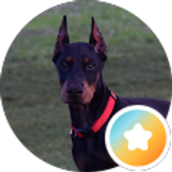 Profile photo of Josh