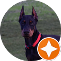 Profile photo of Josh