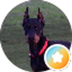 Profile photo of Josh