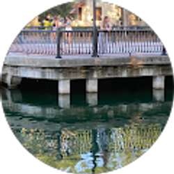 Profile photo of Claudia Calzadilla Fuentes