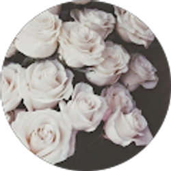 Profile photo of Kayla Davis