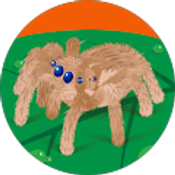 Profile photo of Jason Bringle