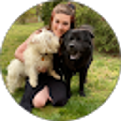 Profile photo of Lauren Sardo