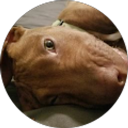 Profile photo of Inessa Dalton