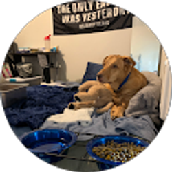 Profile photo of brianna