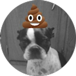 Profile photo of Dawn Lee