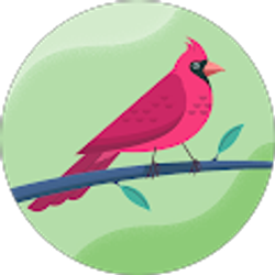 Profile photo of robin Katon