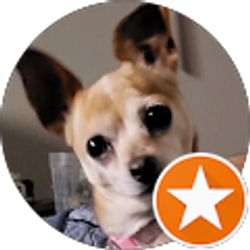 Profile photo of Jamie Wahler