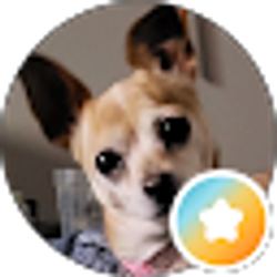 Profile photo of Jamie Wahler