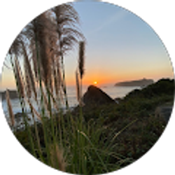 Profile photo of Salvador Vences