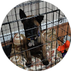 Profile photo of Bryan Talley