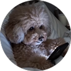 Profile photo of Alan Cardona