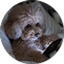 Profile photo of Alan Cardona