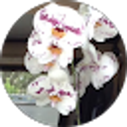 Profile photo of Kay B.