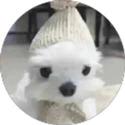 Profile photo of Alessandro Gonzalez