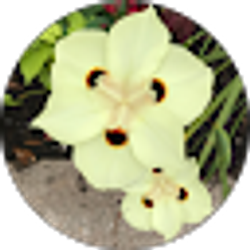 Profile photo of 李爱国