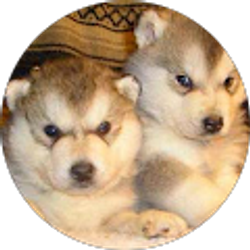 Profile photo of Kristy Wenzinger