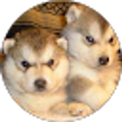 Profile photo of Kristy Wenzinger