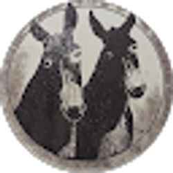 Profile photo of traveling donkeys