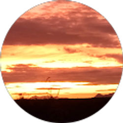 Profile photo of Brenda Haynes