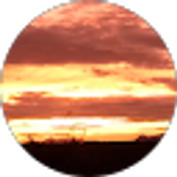 Profile photo of Brenda Haynes