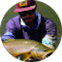 Profile photo of Gar O'Donnell