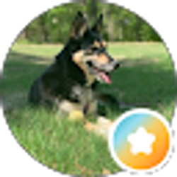 Profile photo of Teej