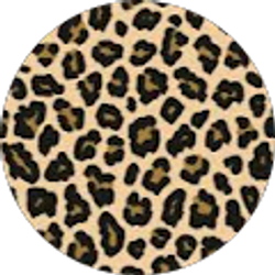 Profile photo of Danielle Robling