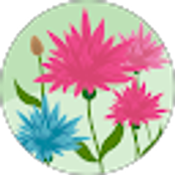 Profile photo of Vanessa Ibarra