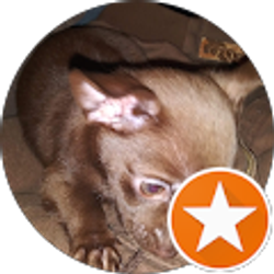 Profile photo of Lenard Guidry