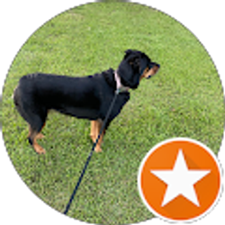 Profile photo of Harley Smith