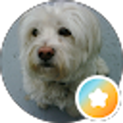 Profile photo of Kelly M