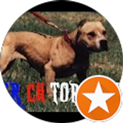 Profile photo of Ed Green