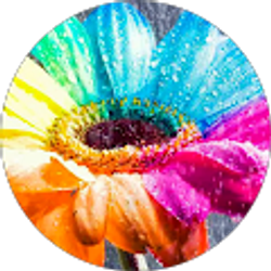 Profile photo of Keonna Bergamy