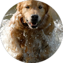 Profile photo of janelle lincoln